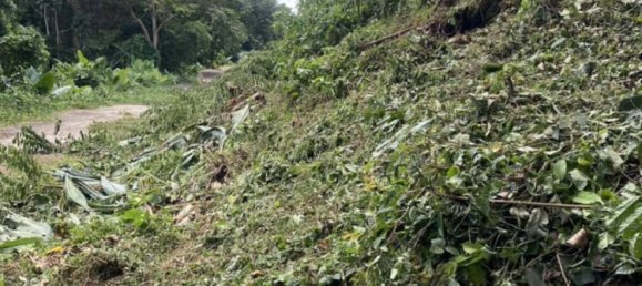  Commercial property in Mai Khao, Thailand No. 23415 5