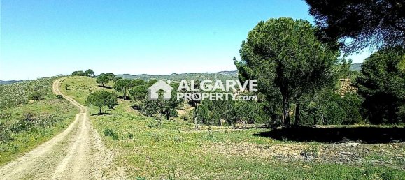 Terreno em São Bartolomeu de Messines, Portugal 80324 m² N.º 10243 12