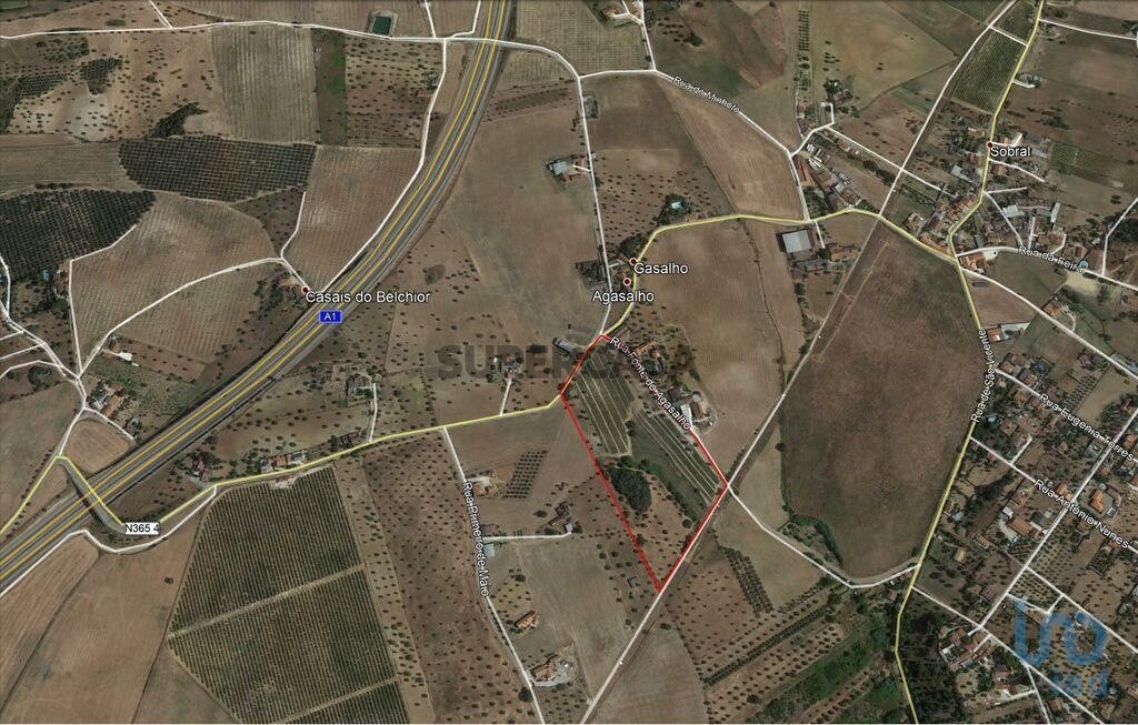 32770m² Land in Santarem, Portugal No. 159707