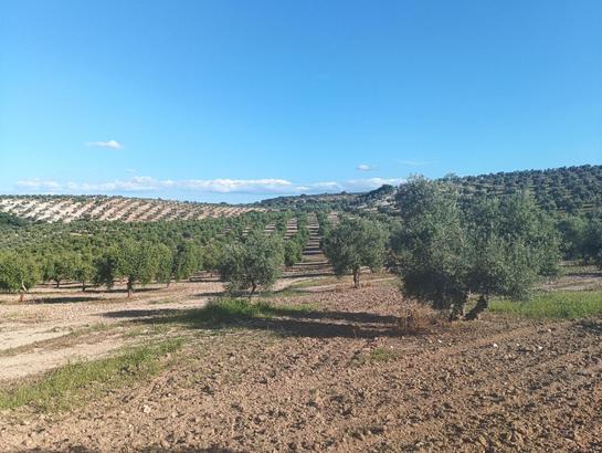 730000m² Land in Andalusia, Spain No. 162421