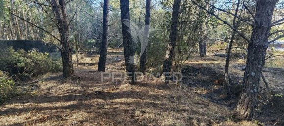 3200m² Land in Minde, Portugal No. 76108 20