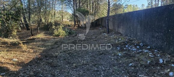 3200m² Land in Minde, Portugal No. 76108 8