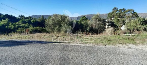 3200m² Land in Minde, Portugal No. 76108 2