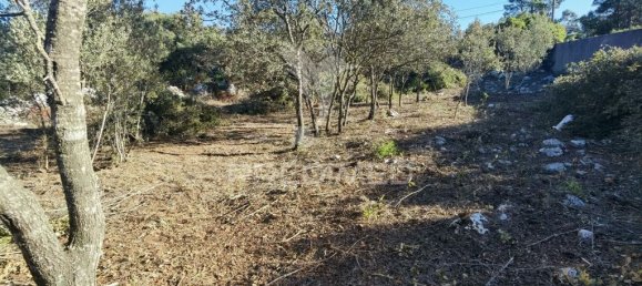 3200m² Land in Minde, Portugal No. 76108 14
