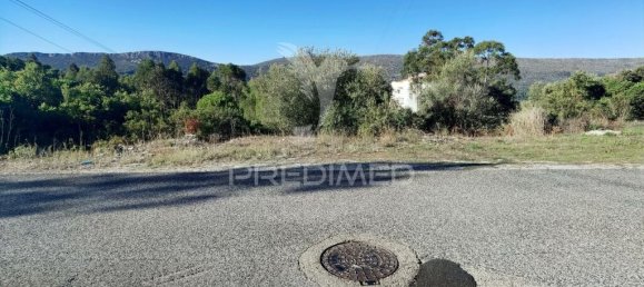 3200m² Land in Minde, Portugal No. 76108 3