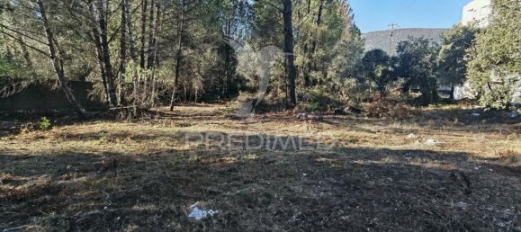 3200m² Land in Minde, Portugal No. 76108 17
