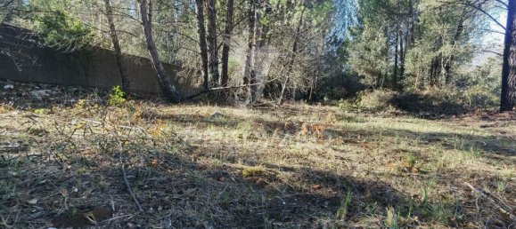 3200m² Land in Minde, Portugal No. 76108 18