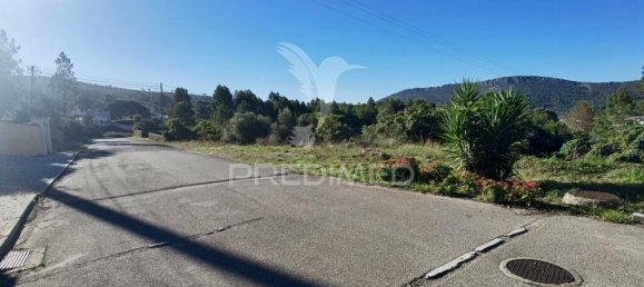 3200m² Land in Minde, Portugal No. 76108 6