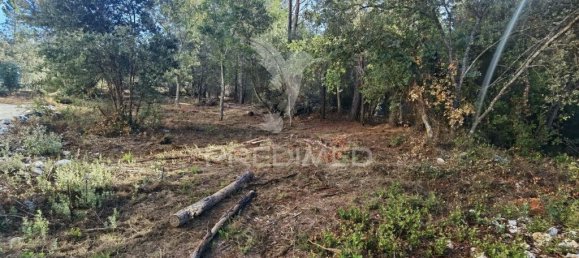 3200m² Land in Minde, Portugal No. 76108 7