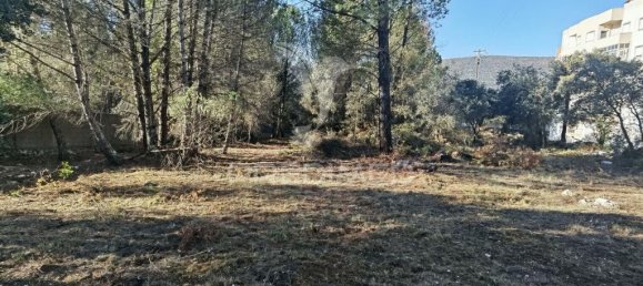 3200m² Land in Minde, Portugal No. 76108 13