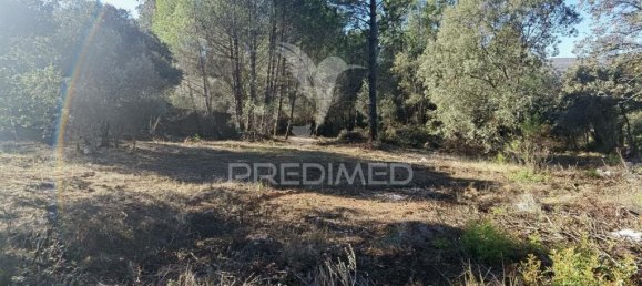 3200m² Land in Minde, Portugal No. 76108 16