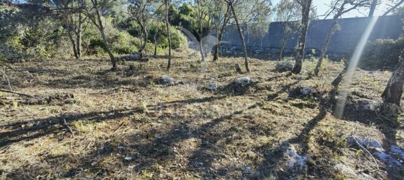 3200m² Land in Minde, Portugal No. 76108 15