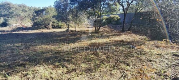 3200m² Land in Minde, Portugal No. 76108 12