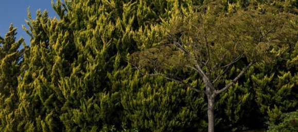 Propiedad comercial de 3 dormitorios en Chania, Greece No. 249 24