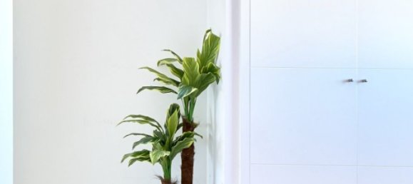 3 bedrooms Apartment in Torrevieja, Spain No. 11174 9