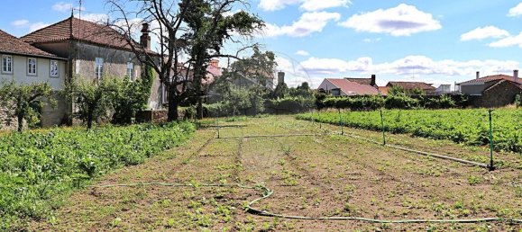 6 bedrooms House in Leomil, Portugal No. 182474 42