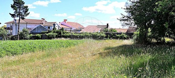 6 bedrooms House in Leomil, Portugal No. 182474 45