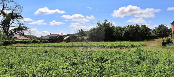 6 bedrooms House in Leomil, Portugal No. 182474 40