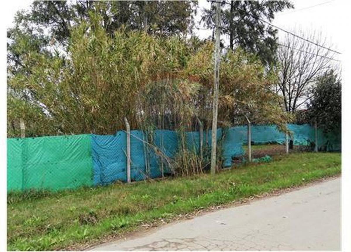  Land in Tigre, Argentina No. 46088