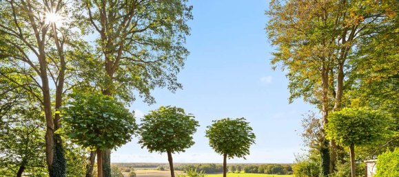 3 chambres Maison à County of Bentheim, Germany No. 144648 44