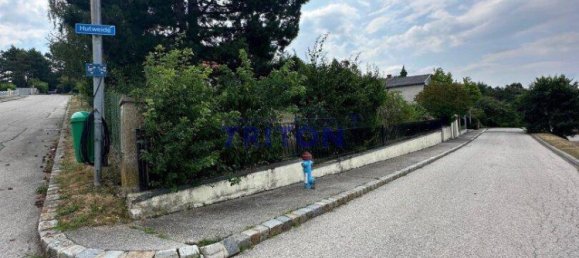 Бунгало с 3 комнатами в Хорнштайн, Австрия № 175727 27