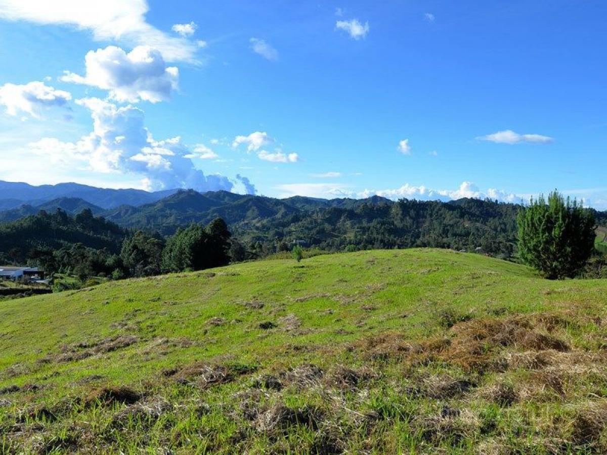  Land in Antioquia, Colombia No. 398