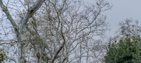 8 Schlafzimmer Schlösser in Elvas, Portugal, Nr. 142768 17