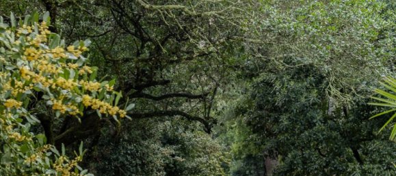 8 Schlafzimmer Schlösser in Elvas, Portugal, Nr. 142768 8