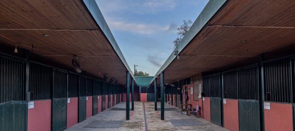 8 Schlafzimmer Schlösser in Elvas, Portugal, Nr. 142768 19