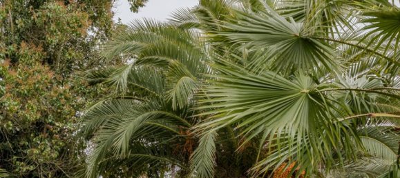 8 Schlafzimmer Schlösser in Elvas, Portugal, Nr. 142768 10