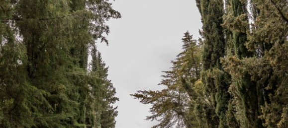 8 Schlafzimmer Schlösser in Elvas, Portugal, Nr. 142768 12