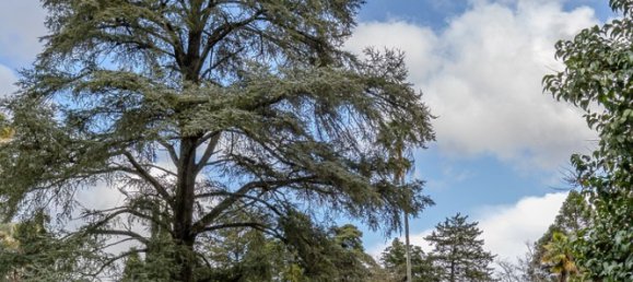 8 Schlafzimmer Schlösser in Elvas, Portugal, Nr. 142768 16