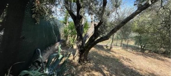 3 rooms Villa in Castiglione del Lago, Italy No. 119765 13