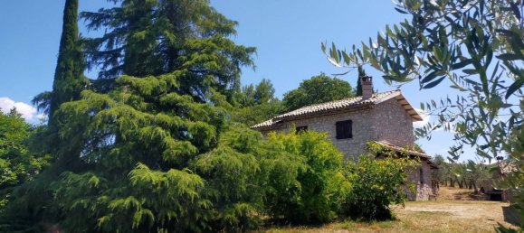 95m² Commercial property in Spoleto, Italy No. 271680 16