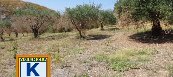 5 Schlafzimmer Haus in San Cataldo, Italy, Nr. 339361 46