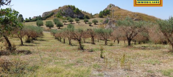 5 Schlafzimmer Haus in San Cataldo, Italy, Nr. 339361 47