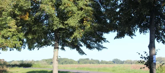  Land in Oberhavel, Germany No. 291324 6