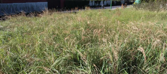  Land in Oberhavel, Germany No. 291324 3