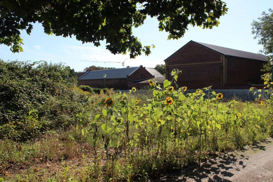  Land in Oberhavel, Germany No. 291324