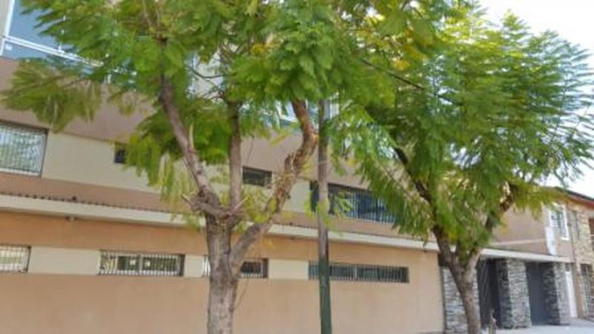 Studio in Lomas de Zamora, Argentina, Nr. 6907