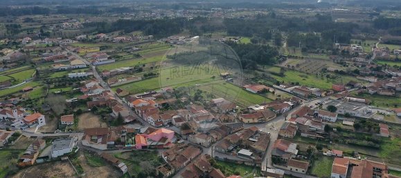 1 غرف نوم منزل في Anadia, Portugal رقم 162952 26