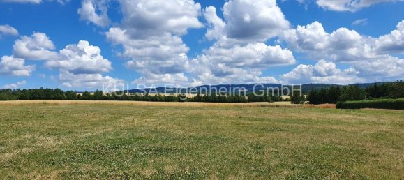  Land in Wartburgkreis, Germany No. 221212 3