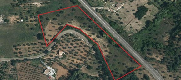 Terrain à Montalbano Jonico, Italy 250000m² No. 89010 11