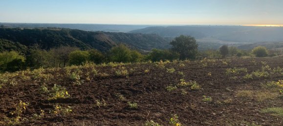 Terrain à Montalbano Jonico, Italy 250000m² No. 89010 2