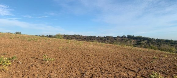 Terrain à Montalbano Jonico, Italy 250000m² No. 89010 3