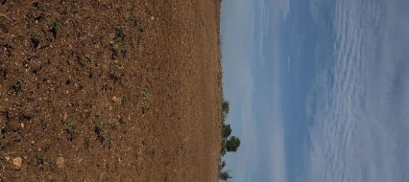 Terrain à Montalbano Jonico, Italy 250000m² No. 89010 5