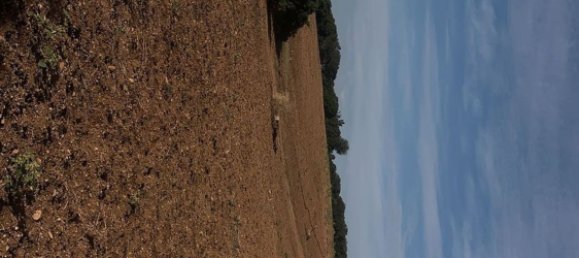 Terrain à Montalbano Jonico, Italy 250000m² No. 89010 6