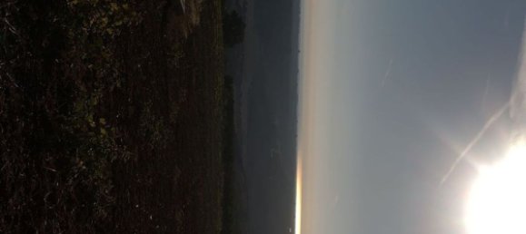 Terrain à Montalbano Jonico, Italy 250000m² No. 89010 4