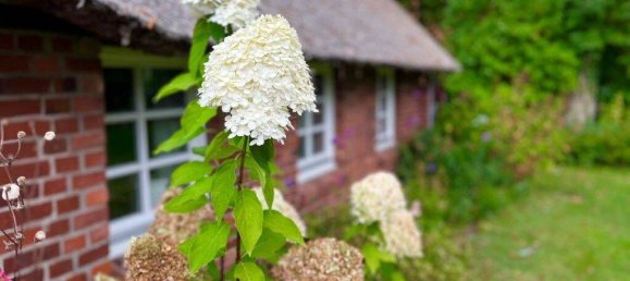 Дом с 4 комнатами в Штаде, Германия № 365139 5