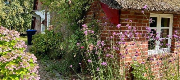 Дом с 4 комнатами в Штаде, Германия № 365139 12